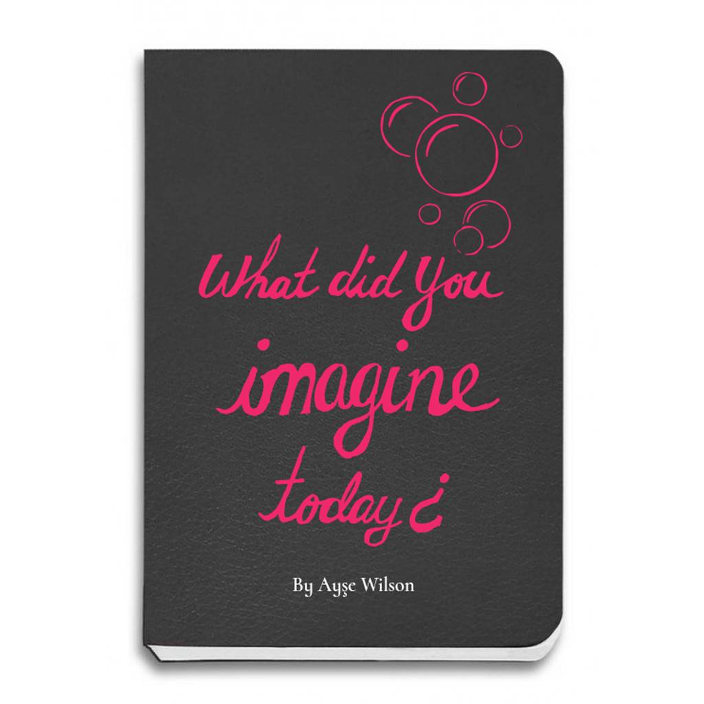 What Did You Imagine Today?